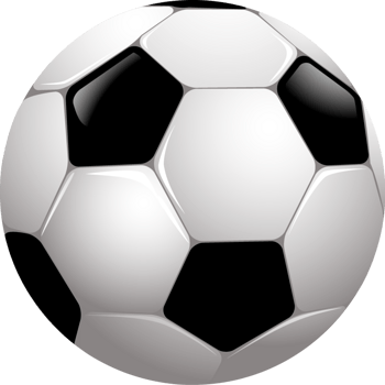 明尼苏达森林狼